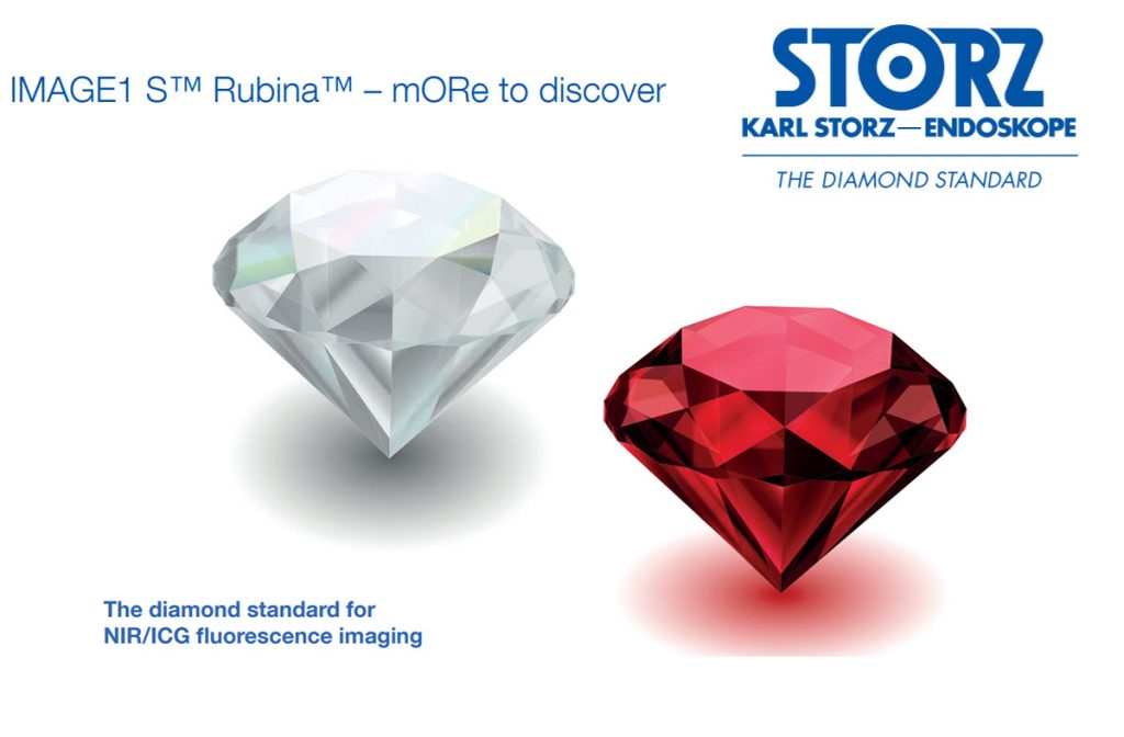 IMAGE1 S Rubina-vishalsurgical.com